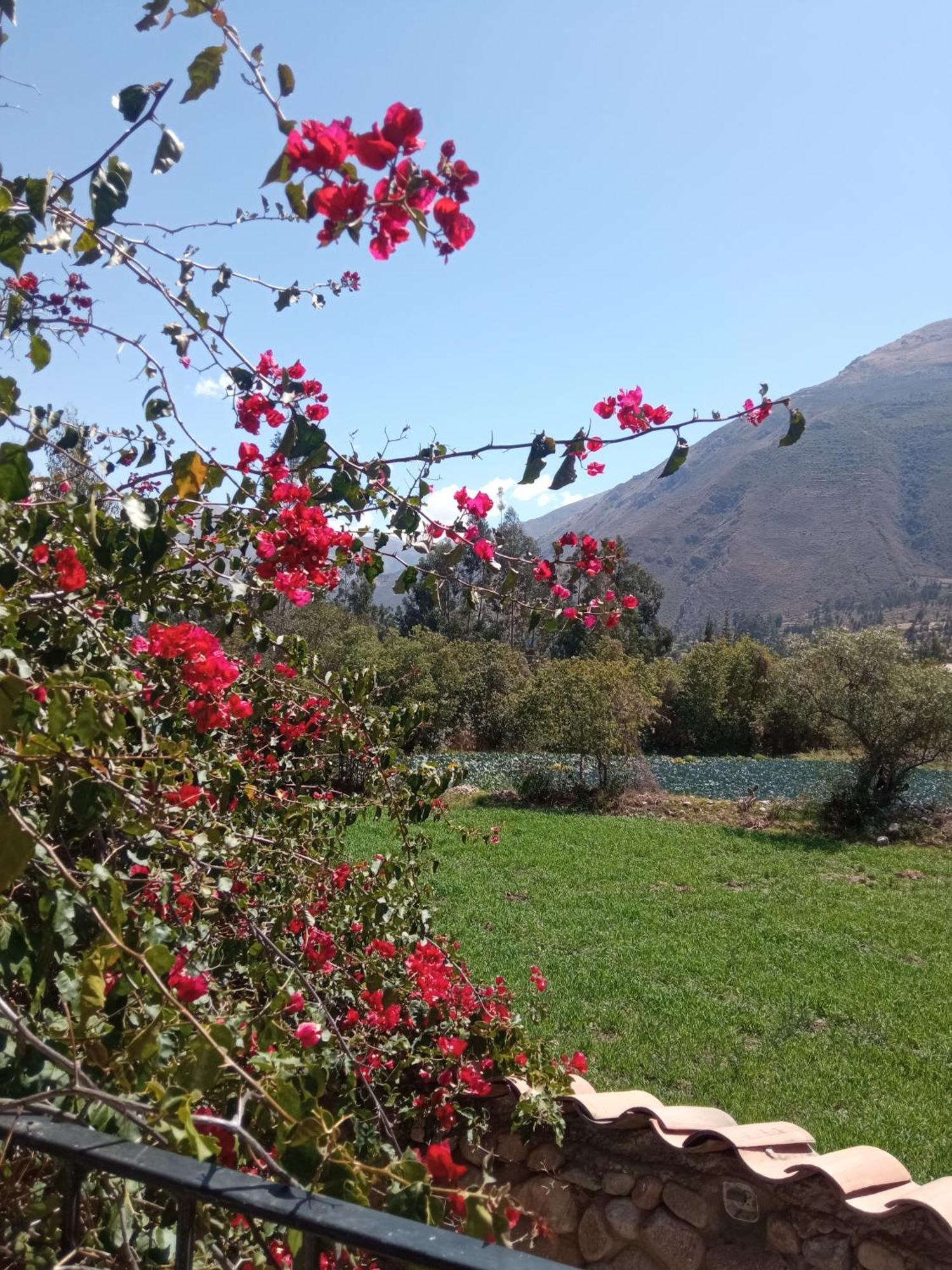 Casa De Mama Valle - Urubamba Dış mekan fotoğraf